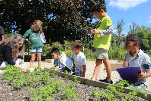 Students in a garden